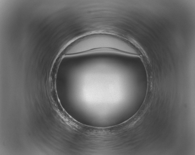 X0000081280876200701110931