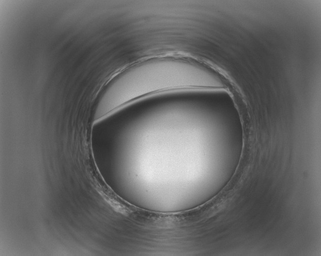 X0000081280881200701110931