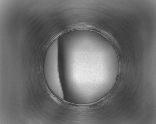 X0000081280889200701110931