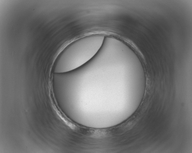 X0000081280890200701110931