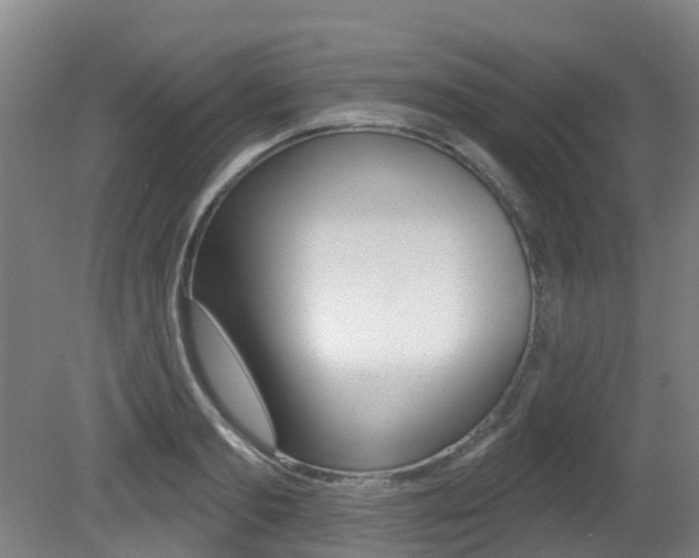 X0000081280893200701110931
