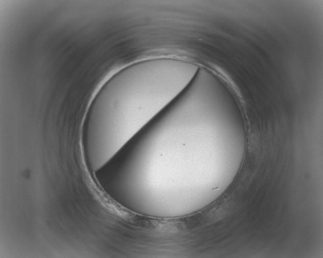 X0000081280899200701110931