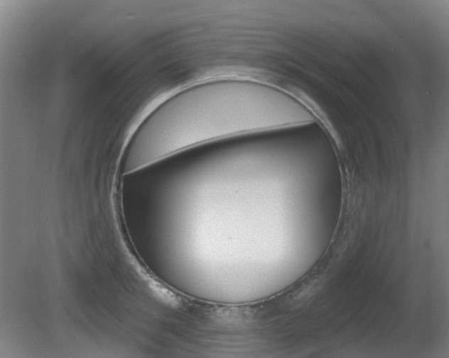 X0000081280901200701110931
