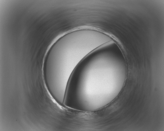 X0000081280902200701110931