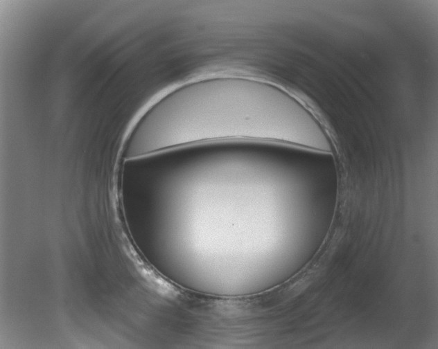 X0000081280904200701110931