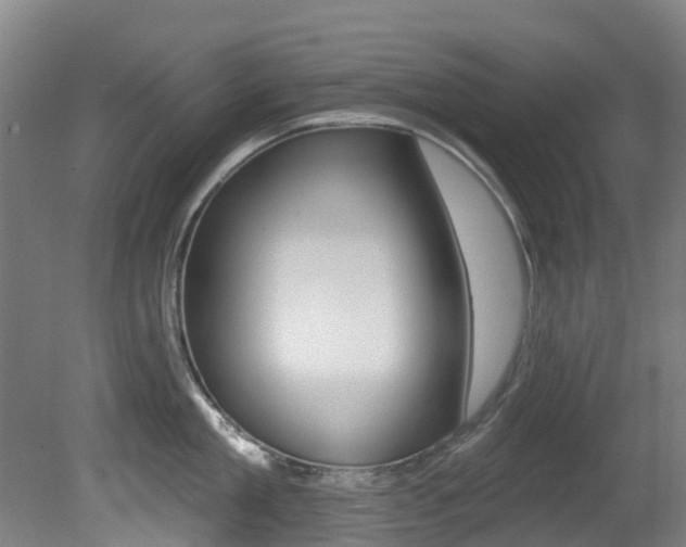 X0000081280909200701110931