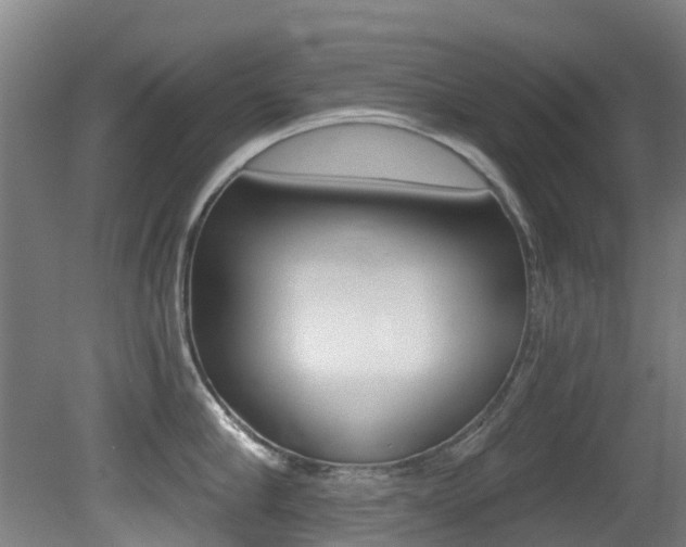 X0000081280910200701110931