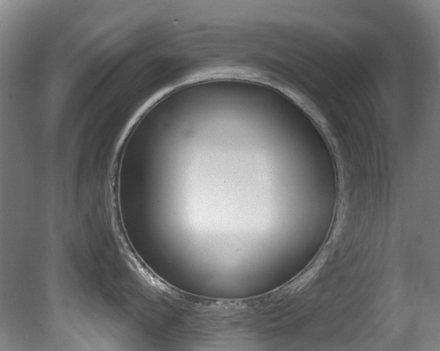 X0000081280912200701110930