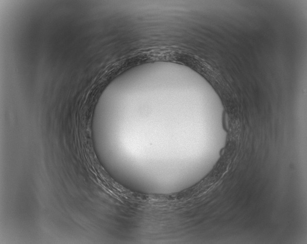 X0000081280913200701110930
