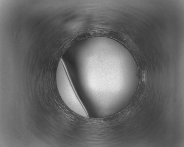 X0000081280915200701110930