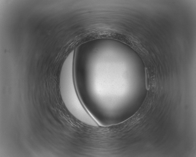 X0000081280916200701110930
