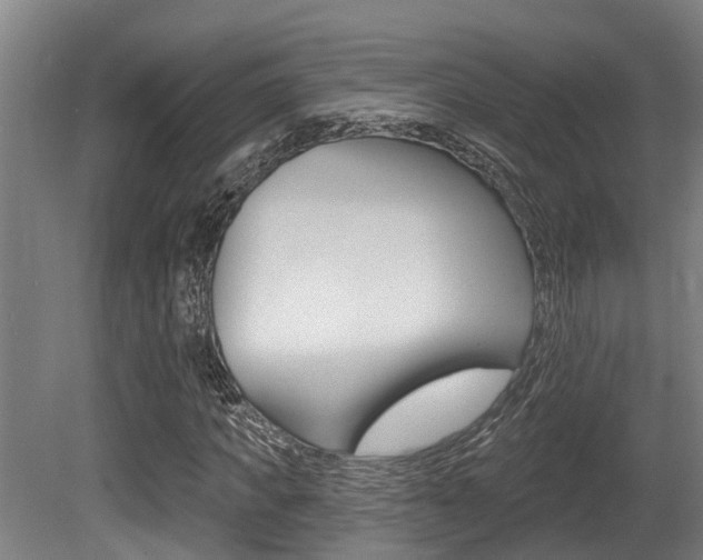 X0000081280917200701110930