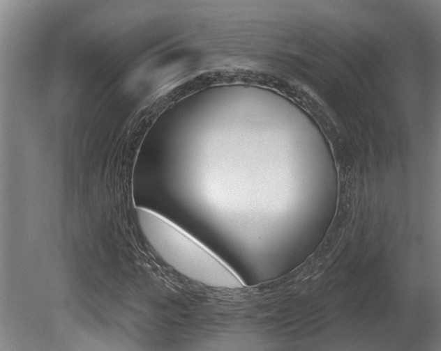 X0000081280919200701110930