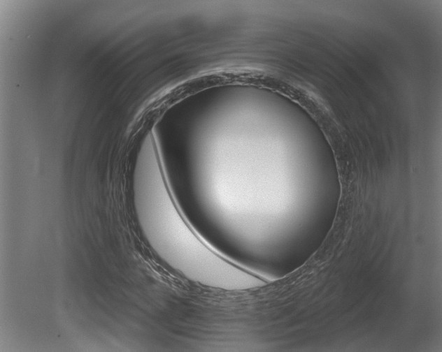 X0000081280920200701110930