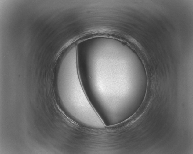 X0000081280922200701110930