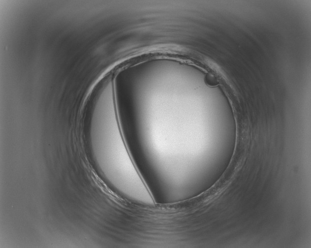 X0000081280923200701110930
