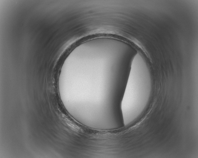 X0000081280926200701110930