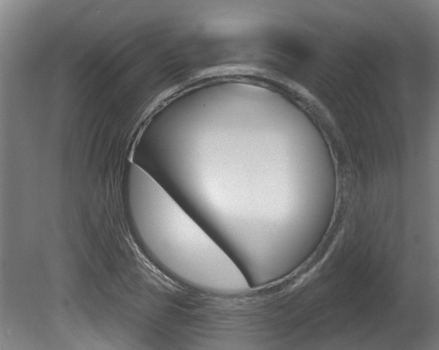 X0000081280929200701110930