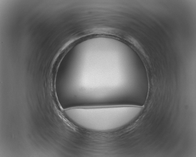 X0000081280931200701110930