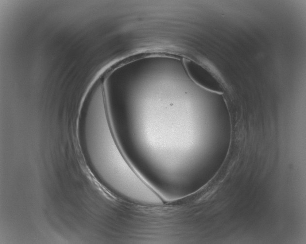 X0000081280932200701110930