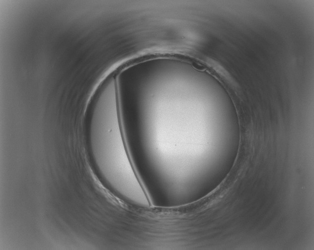 X0000081280934200701110930