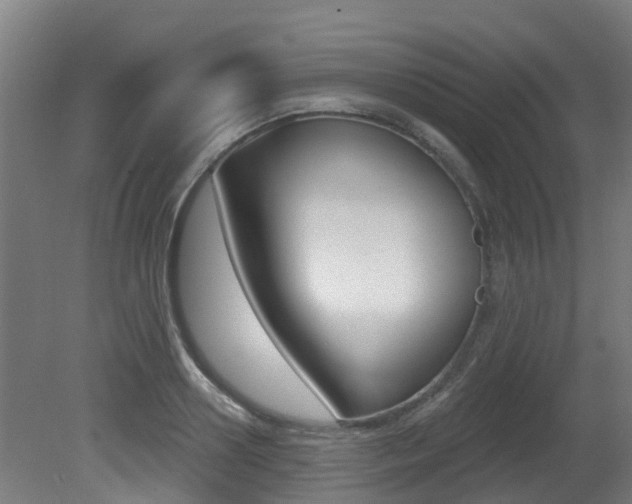 X0000081280938200701110930