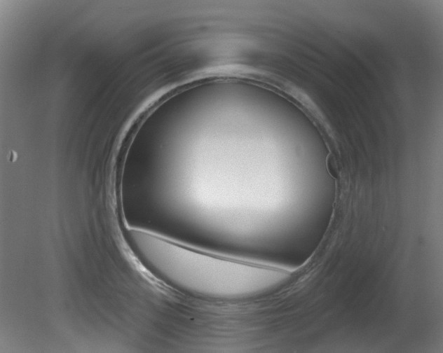 X0000081280939200701110930