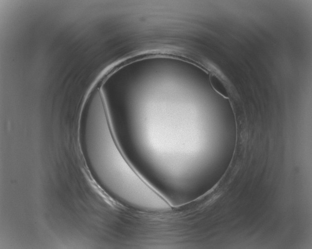 X0000081280940200701110930