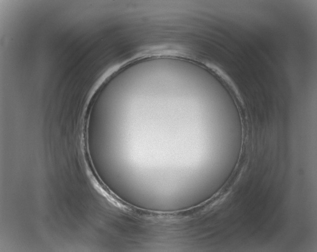 X0000081280941200701110930