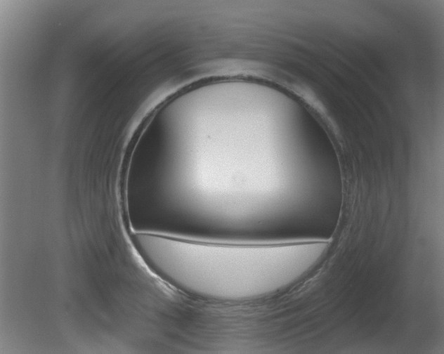 X0000081280943200701110930