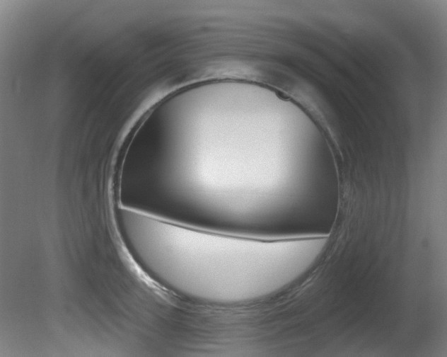 X0000081280947200701110930