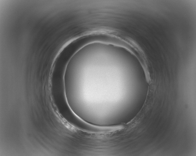 X0000081280948200701110930