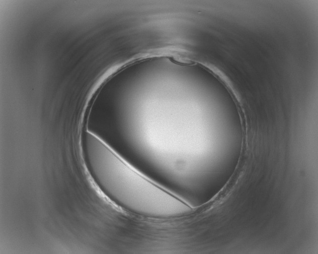 X0000081280949200701110930