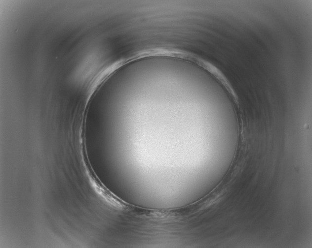 X0000081280954200701110930