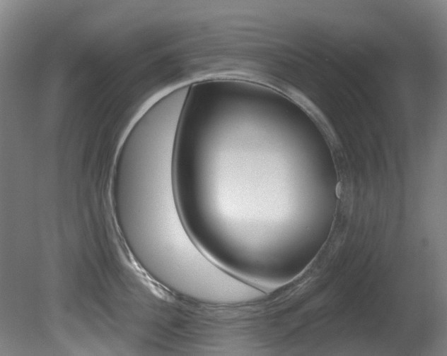 X0000081280956200701110930
