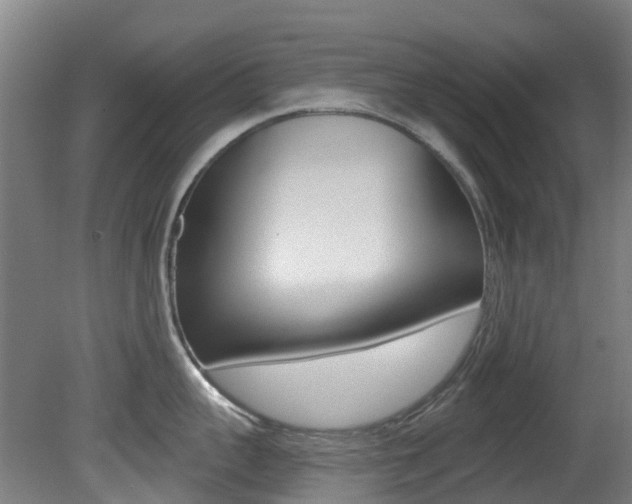 X0000081280959200701110930