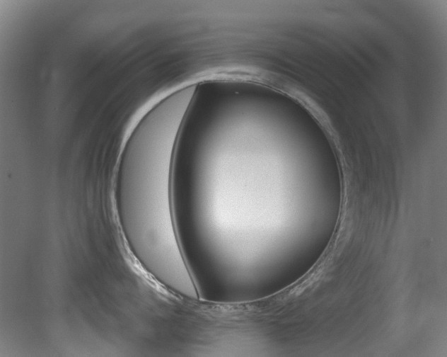 X0000081280960200701110930