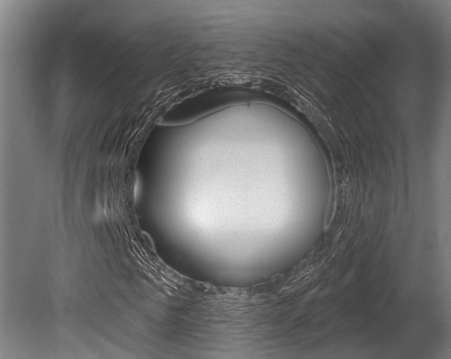 X0000081280961200701110930