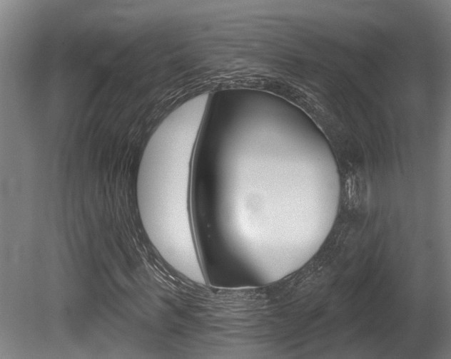 X0000081280963200701110930
