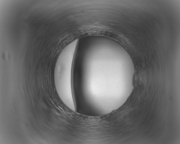 X0000081280964200701110930