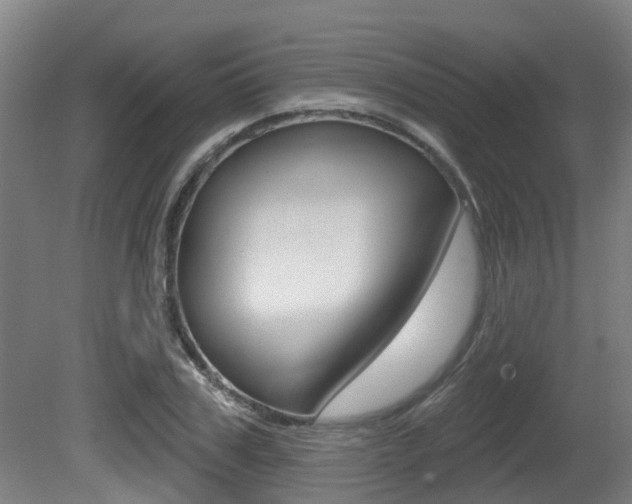 X0000081280979200701110929