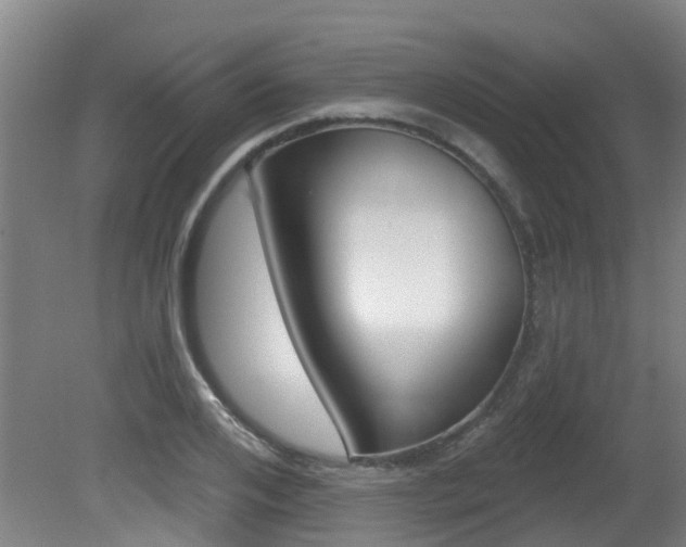 X0000081280984200701110929
