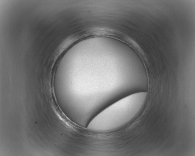 X0000081280986200701110929