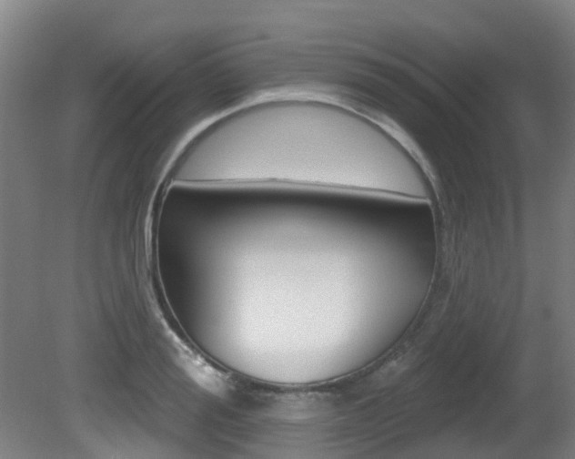 X0000081280988200701110929
