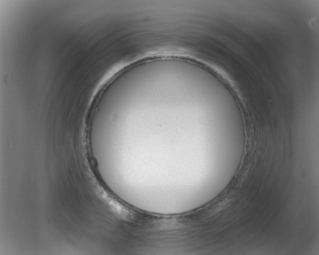 X0000081280990200701110929