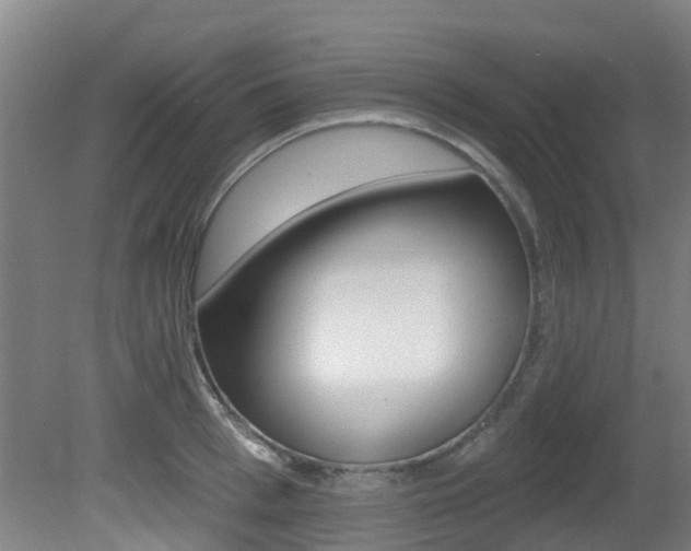 X0000081280993200701110929