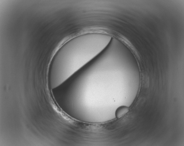 X0000081280994200701110929