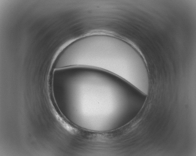 X0000081280995200701110929