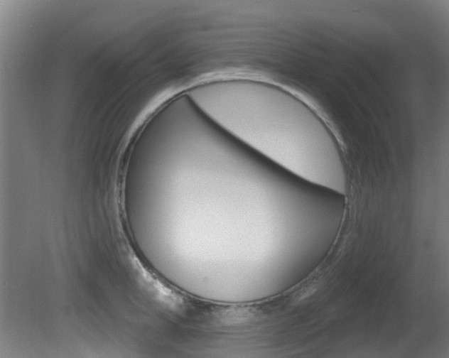 X0000081280998200701110929