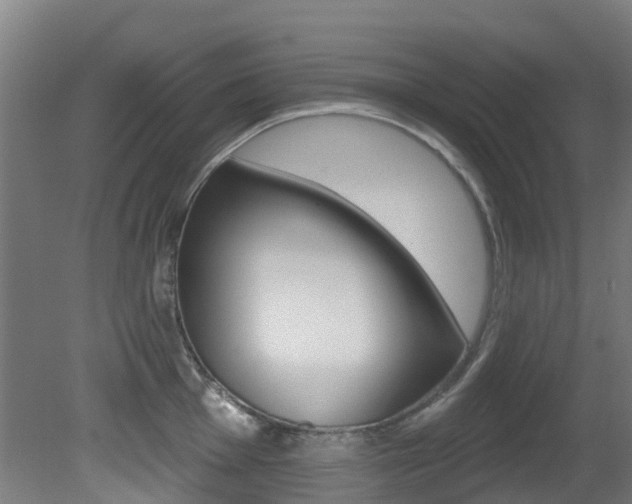 X0000081281001200701110929